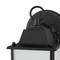 Westinghouse Fixture Wall Outdoor LED Dimmable 9W Dusk to Dawn Trad Txtrd, Black Frost Glass 6107500 - alternate 2